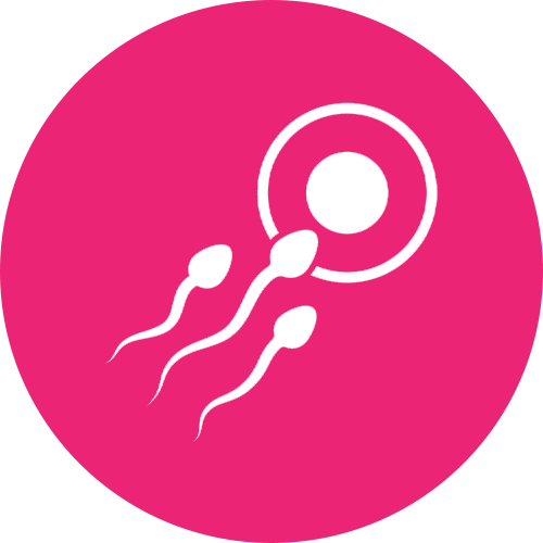 Ovulation Disorders